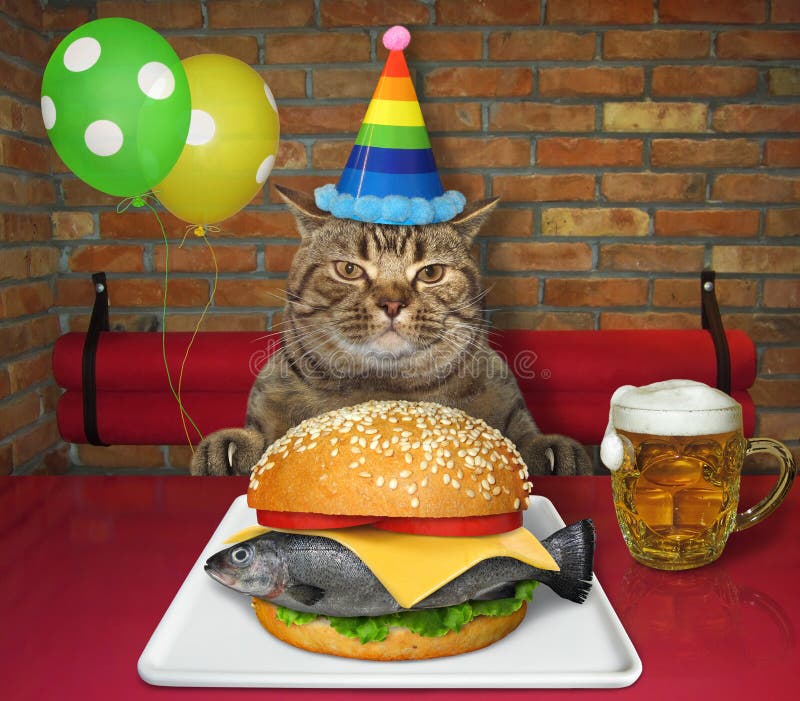 Cat in party hat eats fish burger