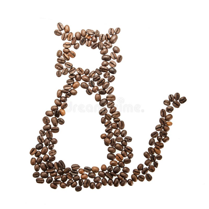 Cat Picture of Coffee Beans Stock Image Image of bean, descriptive