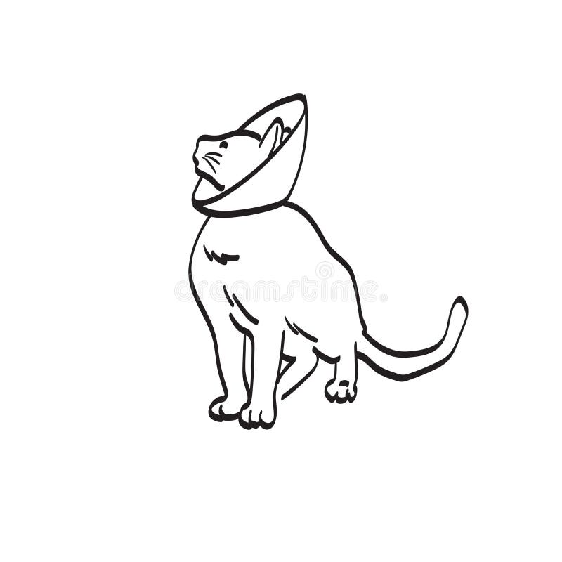 Dog, Cat Collar Illustration, Drawing, Engraving, Ink, Line Art, Vector