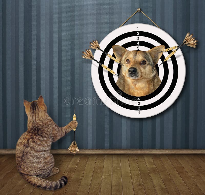 Dog Darts Stock Photos Free & RoyaltyFree Stock Photos from Dreamstime