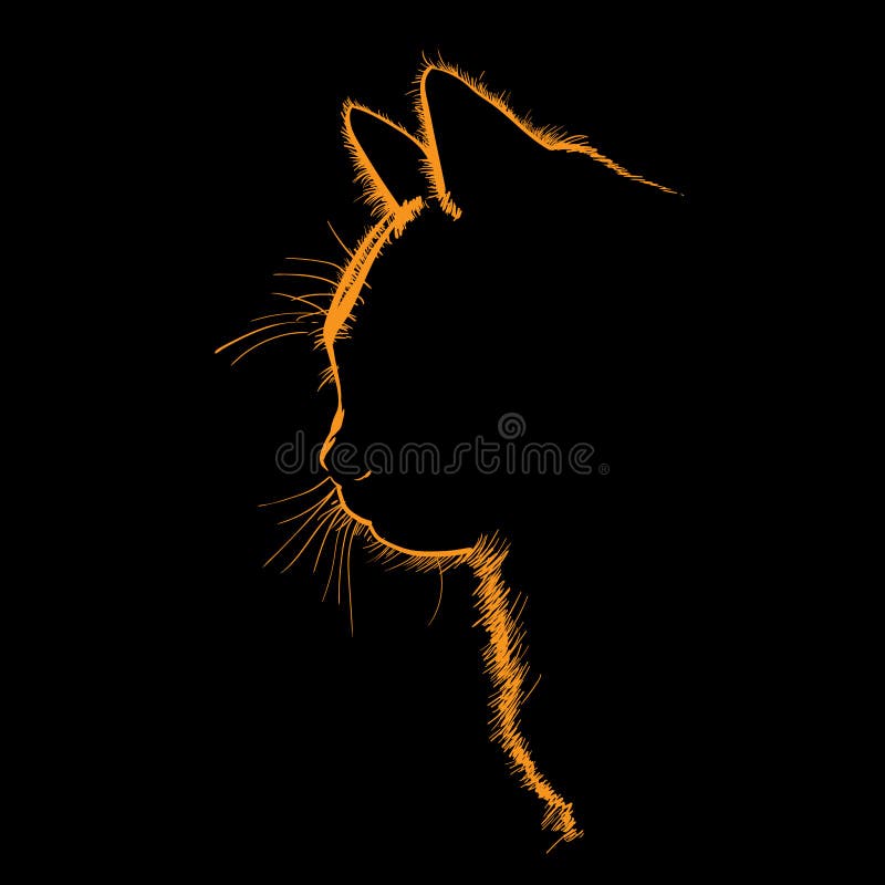 Cat portrait silhouette in contrast backlight. Vector. Illustration.
