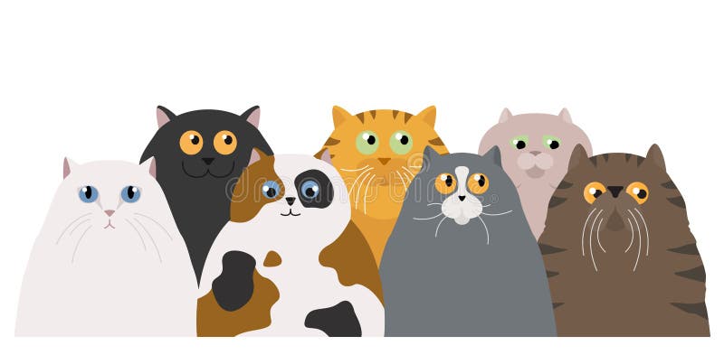 Cat Poster. Cartoon Cat Characters Collection. Different Cat`s Poses