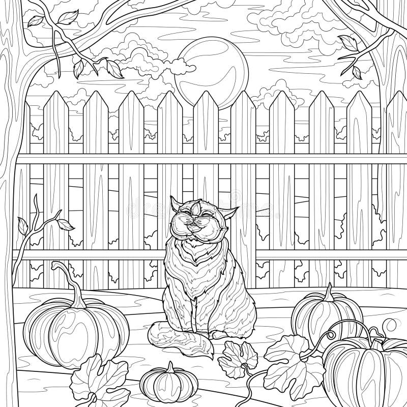 Cat and pumpkins near the fence. Coloring book antistress for adults.