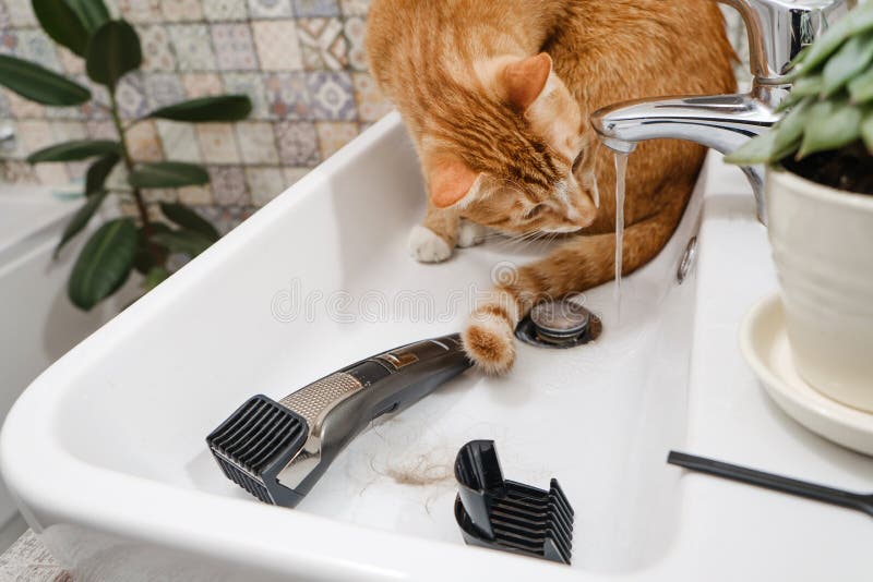 drinking sink water in bathroom