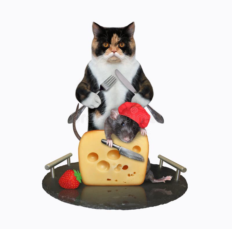 A cat with a knife and a fork is eating a piece of cheese from a granite tray. A rat helps him. White background. Isolated. A cat with a knife and a fork is eating a piece of cheese from a granite tray. A rat helps him. White background. Isolated