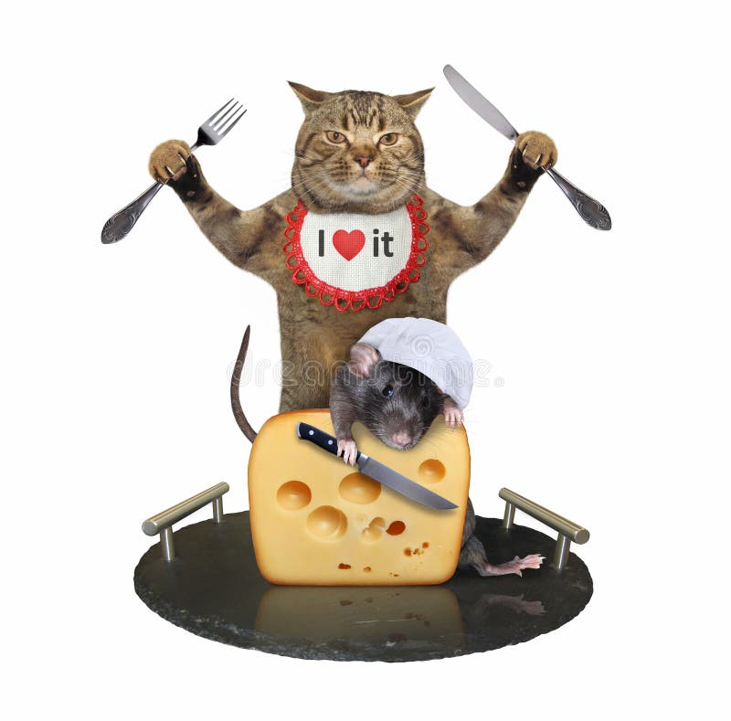 A cat with a knife and a fork is eating a piece of cheese from a granite tray. A rat helps him. White background. Isolated. A cat with a knife and a fork is eating a piece of cheese from a granite tray. A rat helps him. White background. Isolated