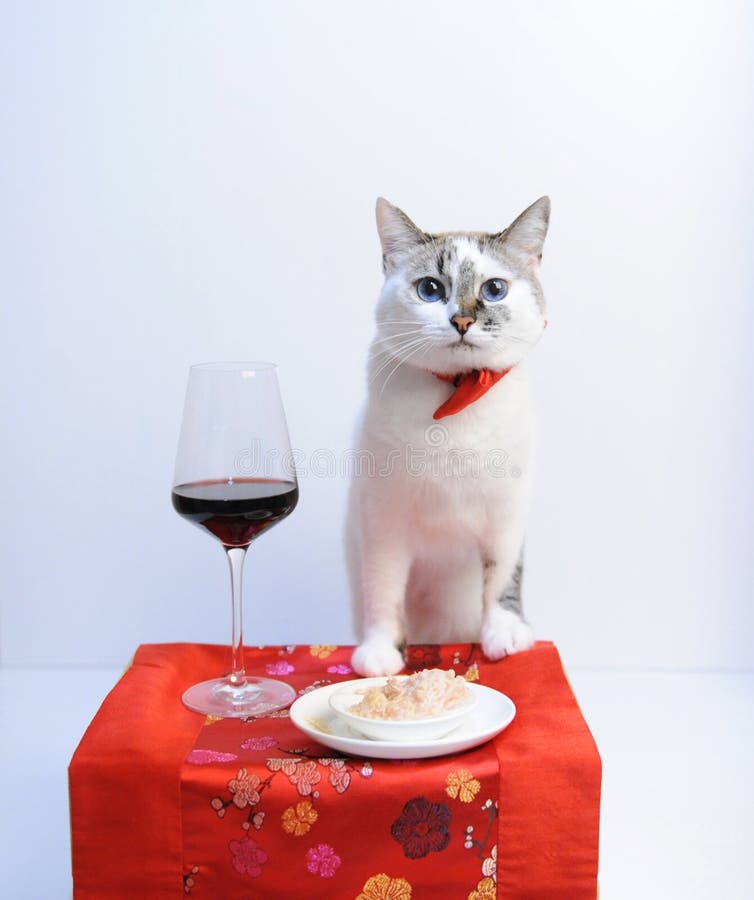 A cat in a red bow tie stands at a laid table with a glass of wine