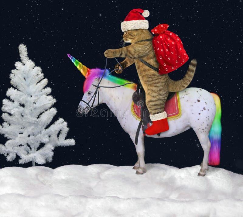 Cat rides the unicorn in the forest