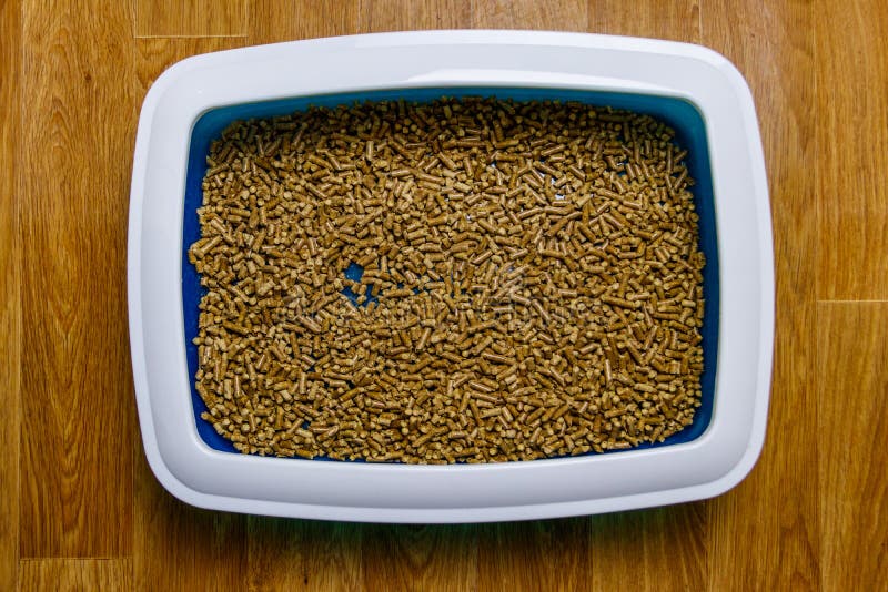 Cat`s Litter Box with Filler on Floor. Top View Stock Image Image of