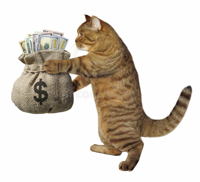 Cat with a sack of money