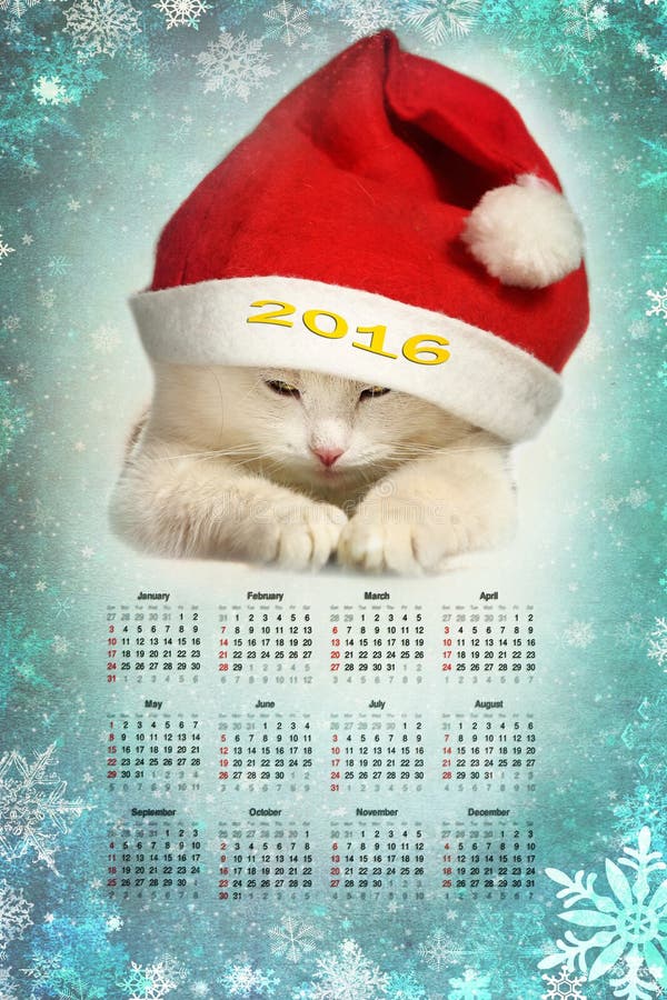Cat in Santa Claus Hat 2016 Calendar Stock Photo Image of post