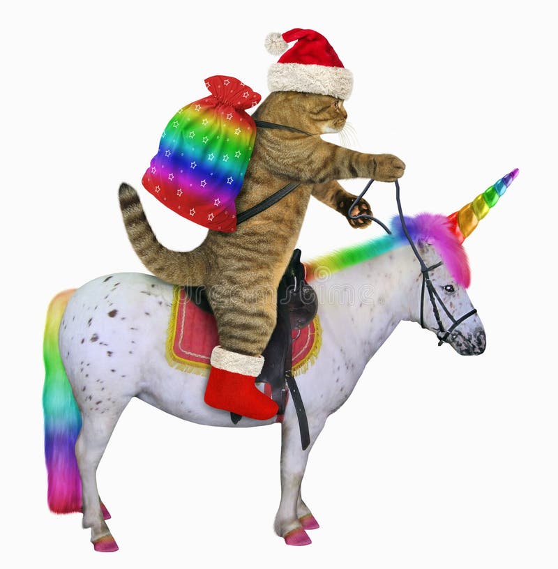 Cat Santa rides the unicorn 3