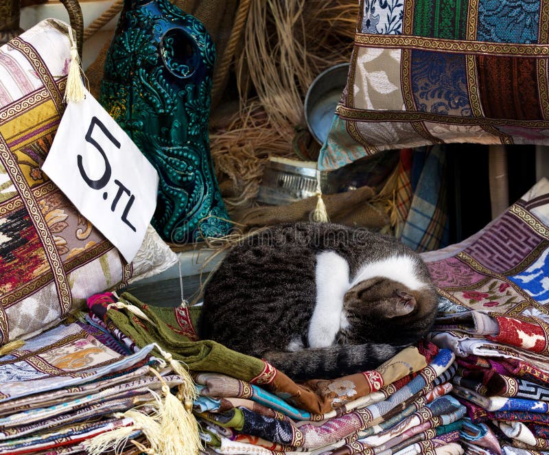https://thumbs.dreamstime.com/b/cat-seller-sleeps-curled-up-embroidered-pillow-cat-seller-sleeps-curled-up-embroidered-pillow-turkish-market-grand-bazaar-212081209.jpg