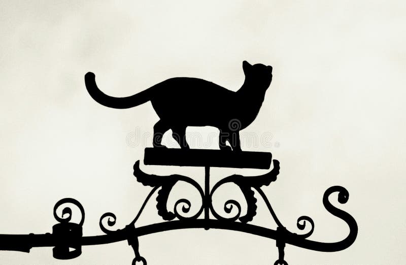 8+ Thousand Cat Profile Silhouette Royalty-Free Images, Stock Photos &  Pictures