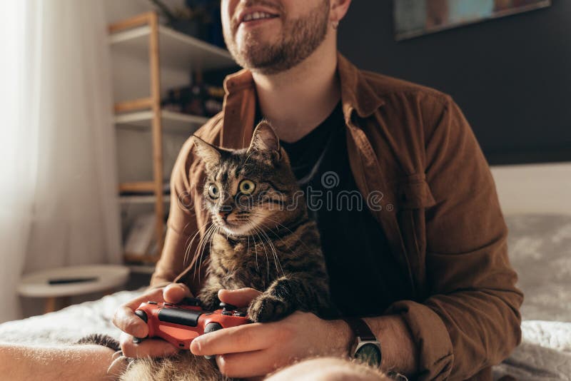 Cat sitting at the laps of his owner and looking at the tv while man is playing