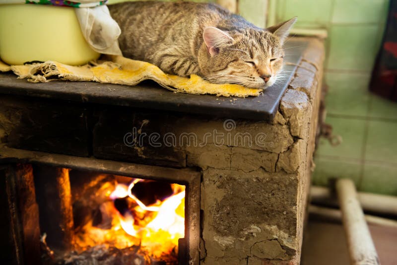 149 Sleeping Cat Fireplace Stock Photos - Free & Royalty-Free Stock Photos  from Dreamstime