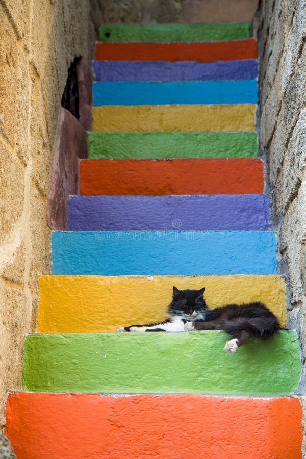 Cat Sleeps on Colorful Steps Stock Image Image of animal