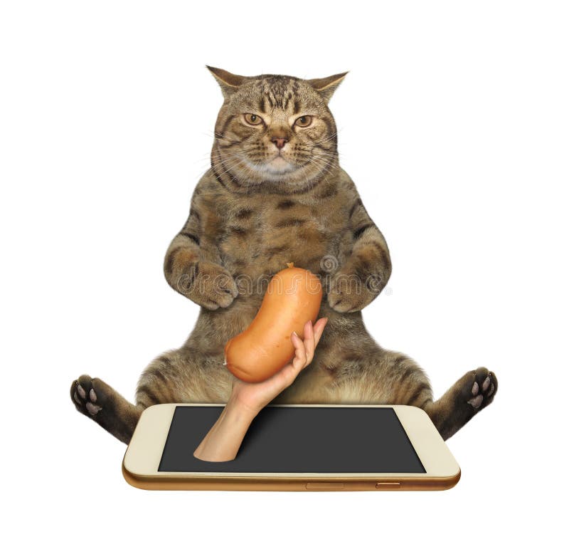 Cat and sausage in a hand stock image. Image of meat 125982555