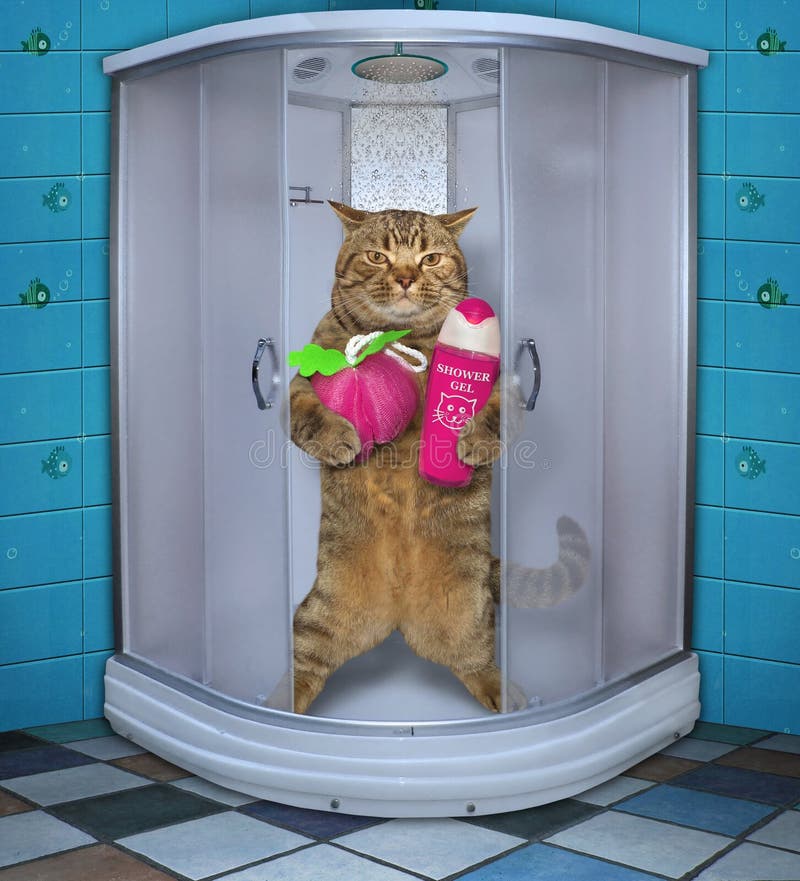 Cat taking a shower 2 stock image. Image of shampoo 153815735
