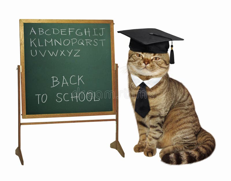 Cat Teacher At Blackboard 6 Stock Illustration Illustration of board
