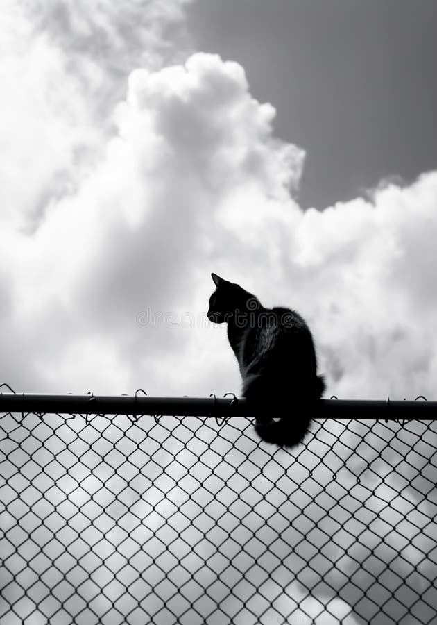 Cat on top of fence under cloudy sky. AI Generative.