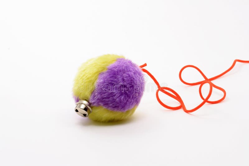 Cat Fishing Toy Mouse on Rope with Pole Stock Image Image of