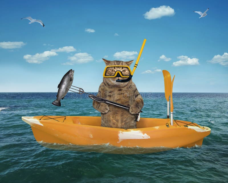 Cat underwater hunter in a yellow boat