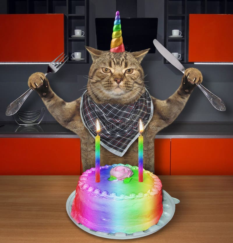 Funny photo of a cat sitting at a table in a bakery and cafe and enjoying  an array of chocolate deserts.