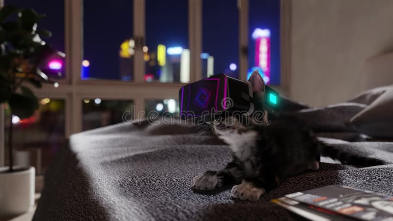 Cat using VR glasses. 3d render, seamless loop. royalty free illustration