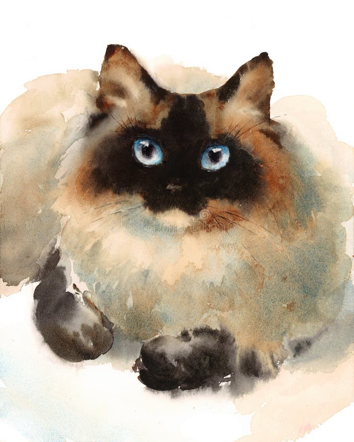 Cat Watercolor Animals Pets Illustration siamoise peinte à la main illustration libre de droits Cat Watercolor Animals Pets Illustration siamoise peinte à la main illustration libre de droits