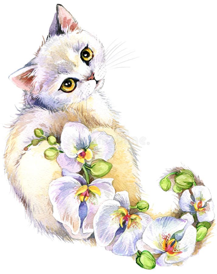 Cat. Watercolor Cat. Flower Watercolor Background. Stock Illustration -  Illustration of nature, fashion: 69880950