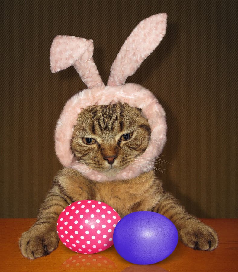 Cat Wearing Easter Bunny Ears Stock Photo Image of table, traditional