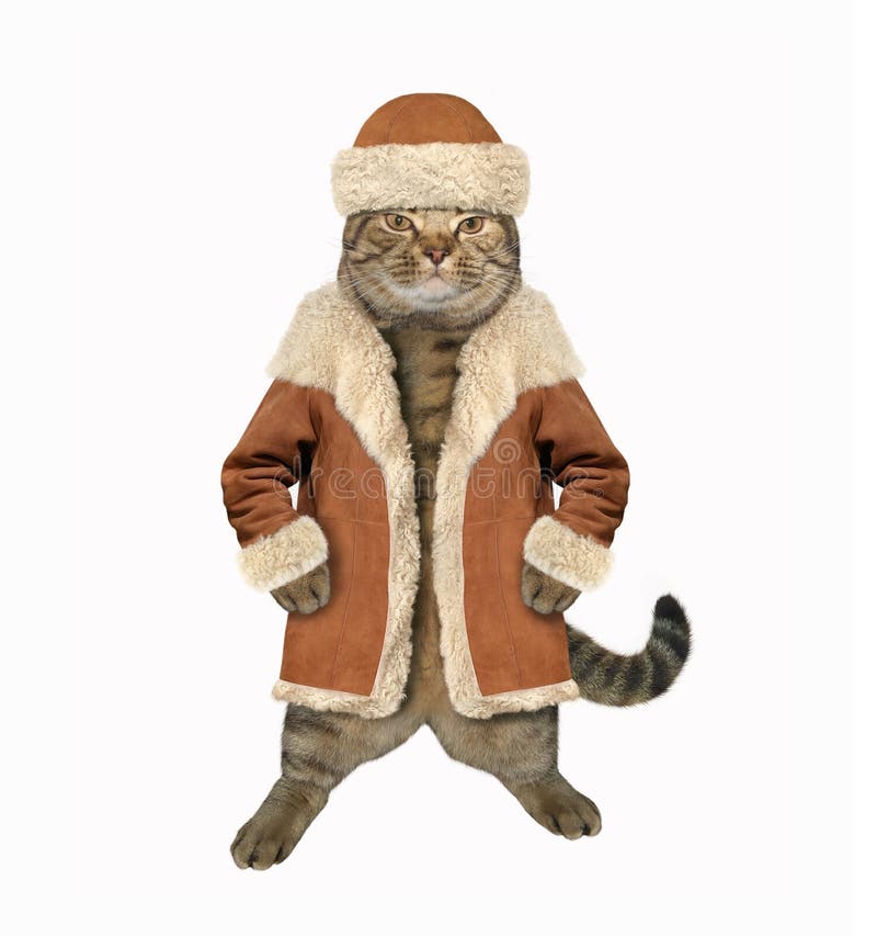 Cat Wearing Coat Stock Illustrations – 258 Cat Wearing Coat Stock  Illustrations, Vectors & Clipart - Dreamstime