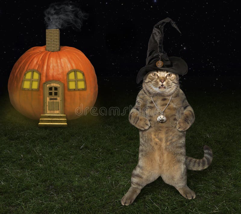 Pumpkin House Decoration Traditional Halloween Stock Photo Image of