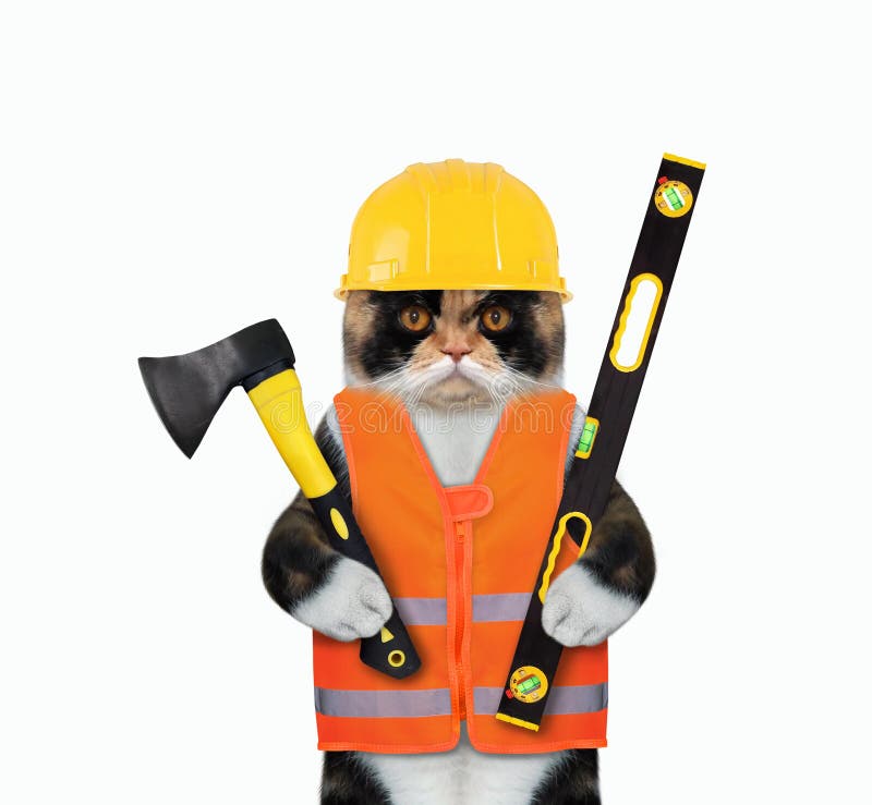 562 Cat Construction Worker Stock Photos Free & RoyaltyFree Stock
