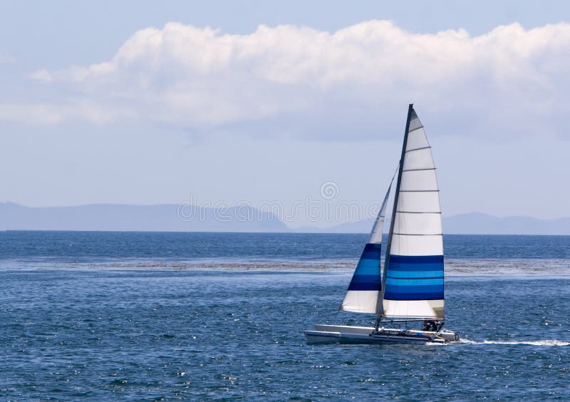 Catamaran Sailing royalty free stock photo Catamaran Sailing royalty free stock photo