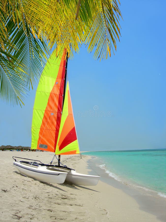 Catamarán y palmera coloridos en la playa fotos de archivo libres de regalías Catamarán y palmera coloridos en la playa fotos de archivo libres de regalías
