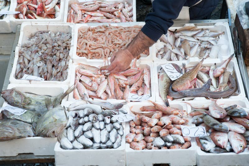 Catania fish market stock photo. Image of sicily, sale 54232738