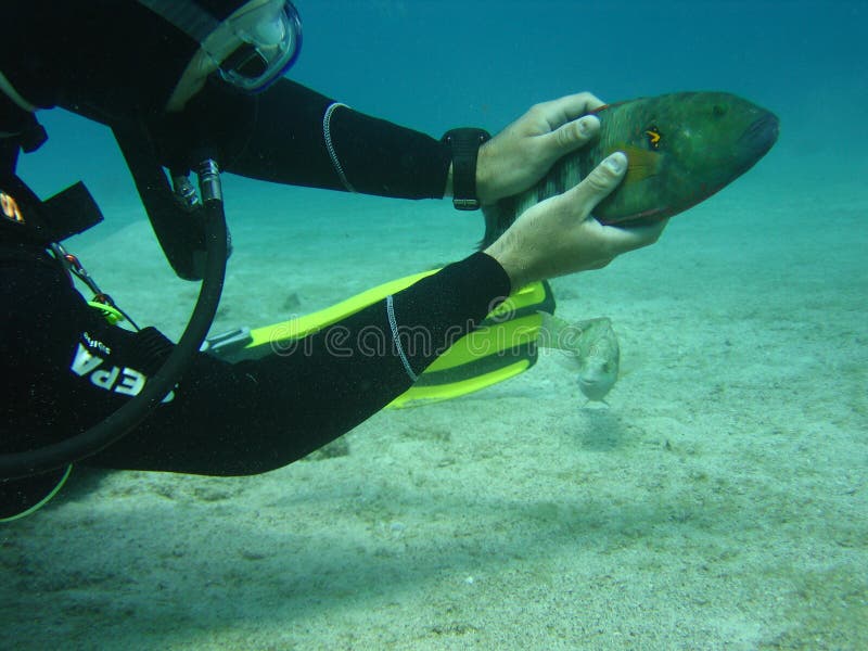 Shooting stock photo. Image of competition, dangerous 8272884