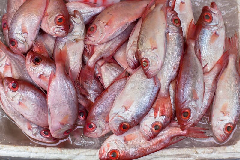 Fresh Fish at Local Asian Market Stock Image Image of closeup