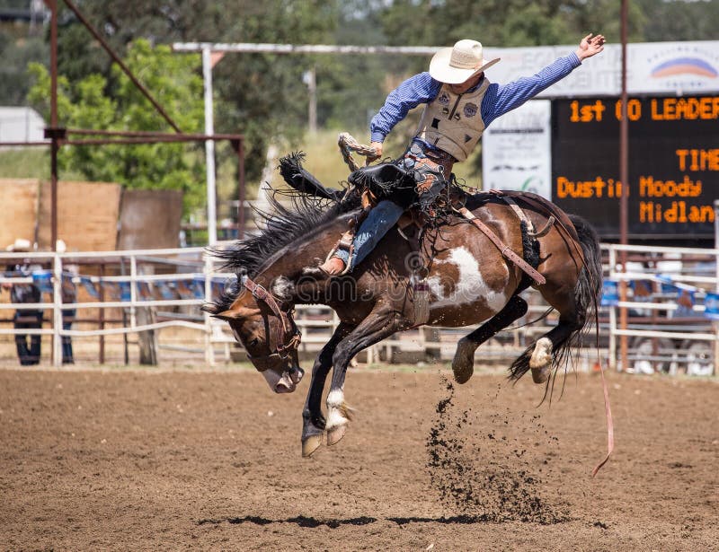 A cowboy is riding his bronc good and strong while his mount is getting of the ground in a serious way. The rodeo in Cottonwood, California is a popular event on Mother's Day weekend in this small northern California town. This photo was taken in May, 2014. A cowboy is riding his bronc good and strong while his mount is getting of the ground in a serious way. The rodeo in Cottonwood, California is a popular event on Mother's Day weekend in this small northern California town. This photo was taken in May, 2014.