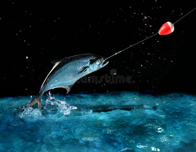 Catching a big fish at night