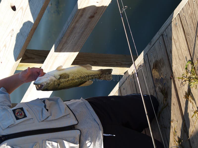 Fishing stock image. Image of fishing, place, catching 814569