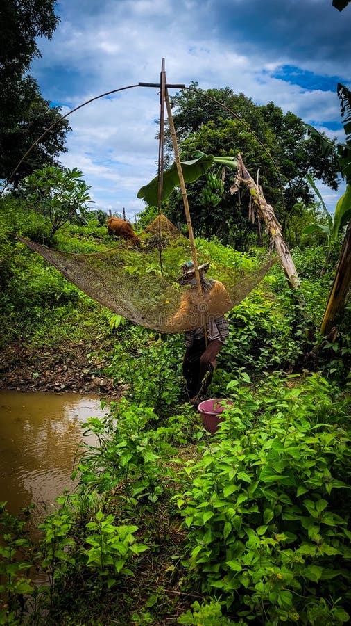 Catching fish stock image. Image of travel, called, sunset 259875461