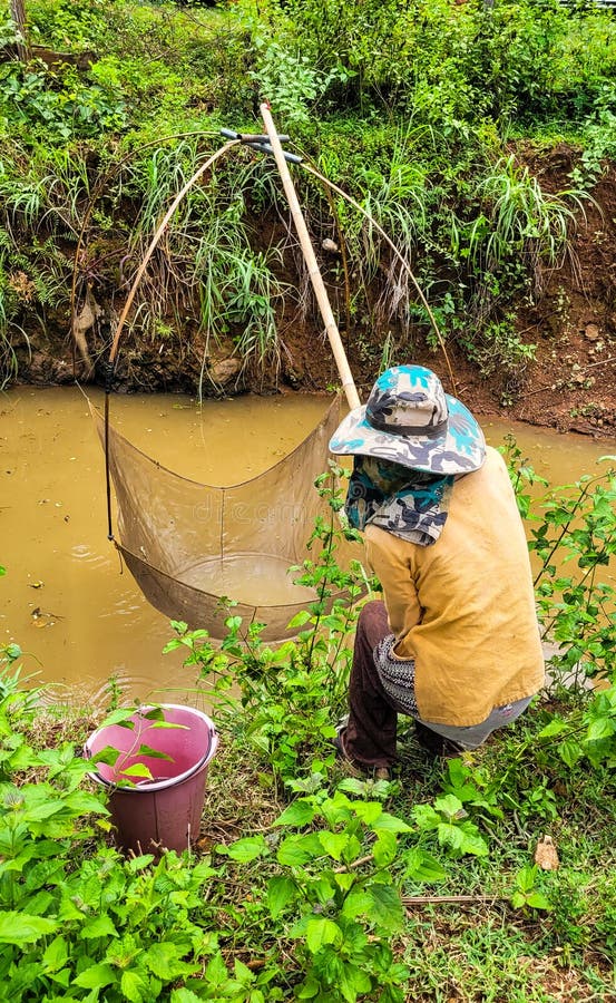Catching fish stock photo. Image of background, thailand 259875468