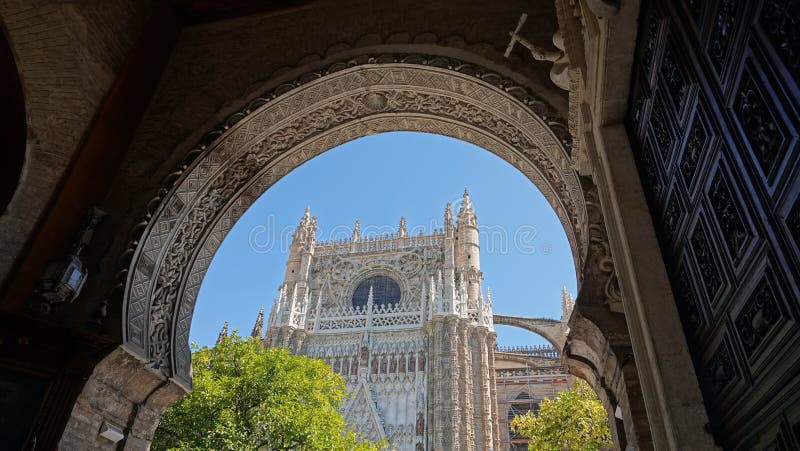 2 154 Pardon Photos Free Royalty Free Stock Photos From Dreamstime 2 154 Pardon Photos Free Royalty Free Stock Photos From Dreamstime