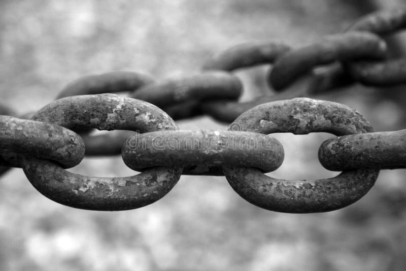 Targhette Militari Wolverine Logan TheDogTagCo | Set 2 Piastrine Con Catene Acciaio E Silenziatori - Foto 8