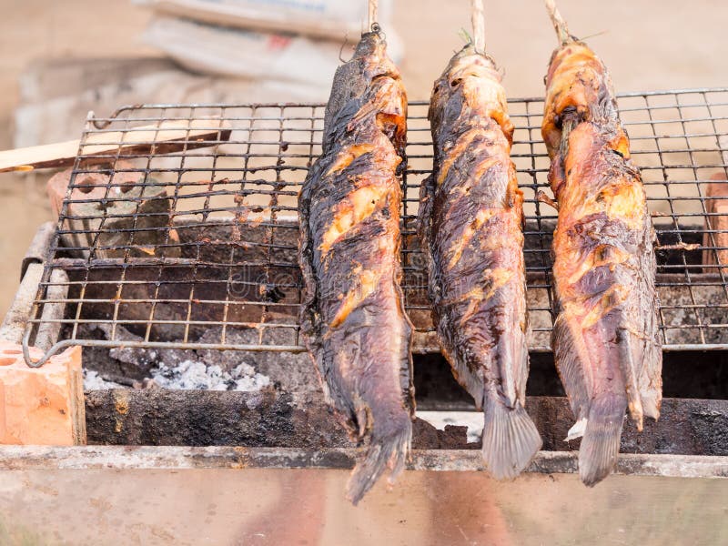 Grill catfish stock photo. Image of catfish, asia, dish 36008832