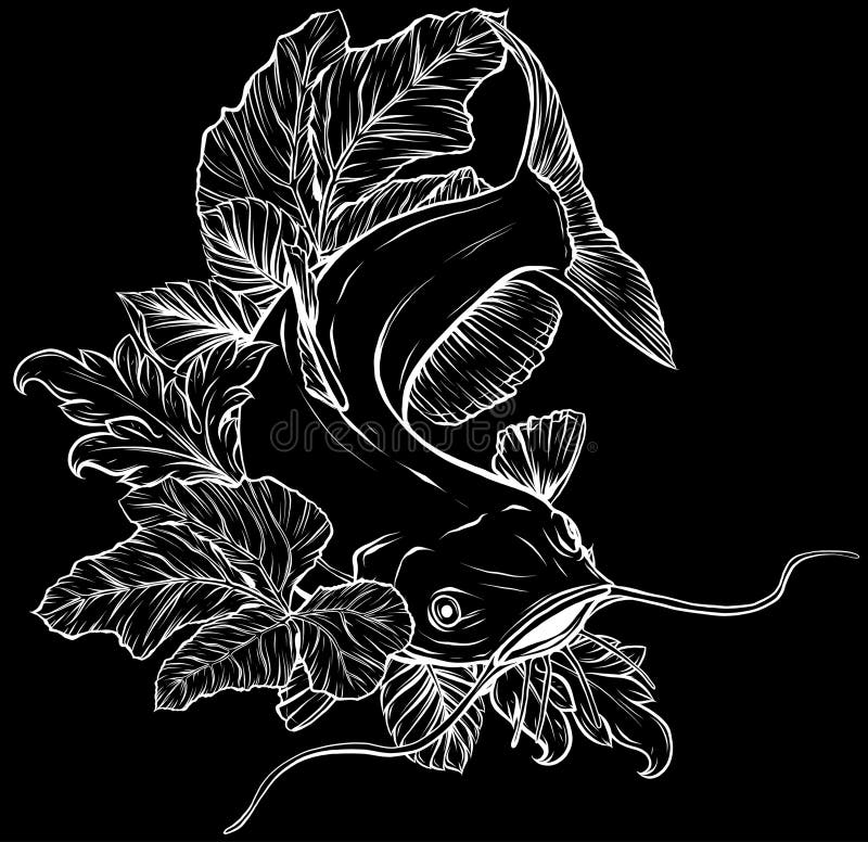 Catfish Vector Line Drawing Stock Illustrations 209 Catfish Vector