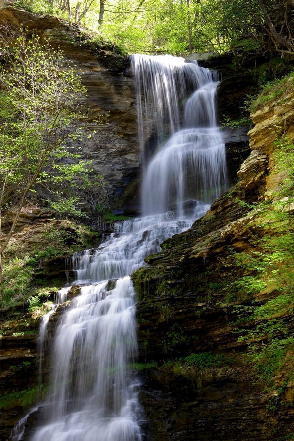 Cathedral Falls